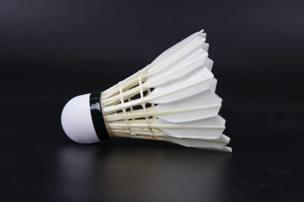 LEIPAI DG88 shuttlecock - Image 3