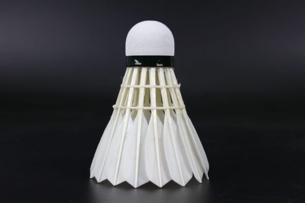 LEIPAI DG40 shuttlecock (50 Tubes) - Image 2