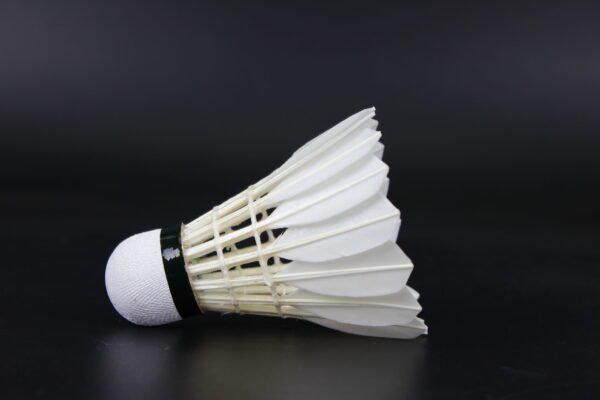 LEIPAI DG40 shuttlecock (50 Tubes) - Image 4