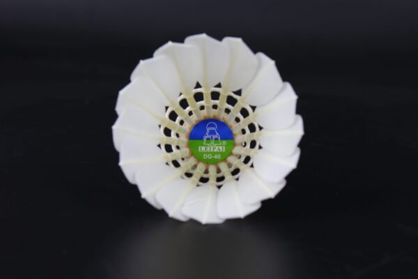 LEIPAI DG40 shuttlecock (50 Tubes) - Image 3