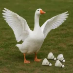 Shuttles: The New Eggs in Town